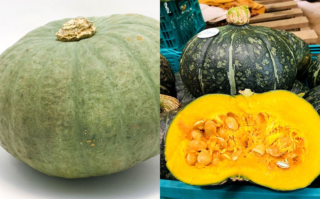 かぼちゃ食べ比べ （みやこ・雪化粧） 2玉 約3kg 【2025年10月上旬～2026年1月下旬発送予定】 かぼちゃ カボチャ 食べ比べ みやこ 雪化粧 野菜 北海道 北広島市