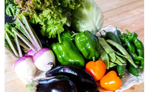 ãææ©JASèªå®ãå£ç¯ã®éè è©°ãåãã 10çš®é¡ã12çš®é¡çšåºŠ ææ©éèã»ããA åæµ·éååºå³¶åž