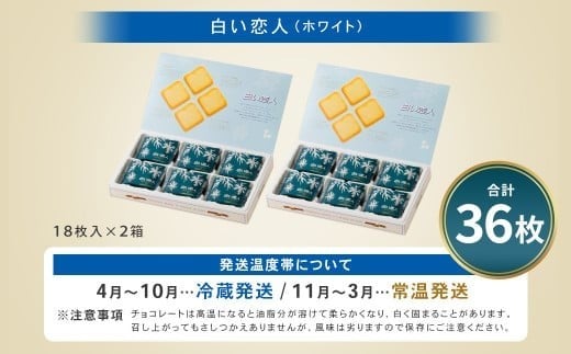 逋ス縺諱倶ココ (繝帙Ρ繧、繝) 36譫(18譫壼・テ2邂ア) 繝ゥ繝ウ繧ー繝峨す繝」 繧ッ繝繧ュ繝シ 繝√Ι繧ウ 縺願藷蟄 縺翫d縺、 蛹玲オキ驕 蛹怜コ蟲カ蟶