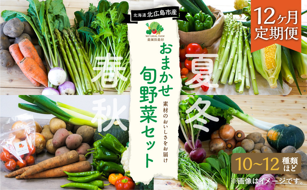 【12ヶ月定期便】 おまかせ旬野菜セット 旬 野菜 セット 北海道 北広島市
