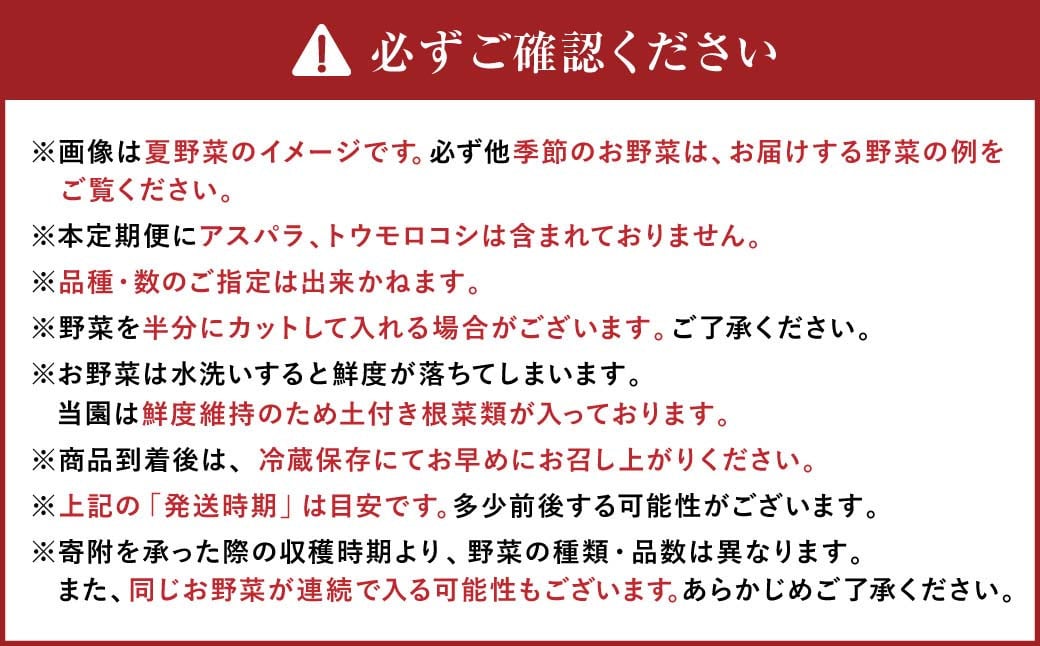 【12ヶ月定期便】有機JAS認定 季節の野菜 詰め合わせ〜有機野菜セットA〜 北海道 北広島市