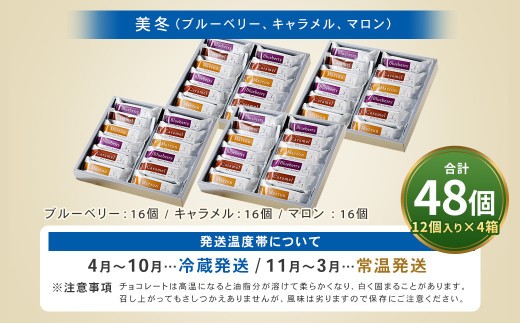 鄒主ャ12蛟句・ (繝悶Ν繝シ繝吶Μ繝シ縲√く繝」繝ゥ繝。繝ォ縲√槭Ο繝ウ)テ4邂ア 蜷郁ィ48蛟 鄒主ャ 繝溘Ν繝輔ぅ繝シ繝ヲ 繝代う 繝√Ι繧ウ 縺願藷蟄 縺翫d縺、 蛹玲オキ驕 蛹怜コ蟲カ蟶