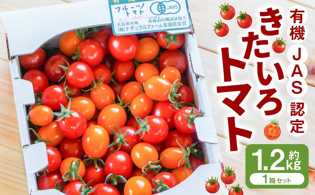 有機JAS認定「きたいろトマト」〈1.2kg×1箱〉【2026年7月下旬～9月下旬迄発送予定】 北海道北広島市