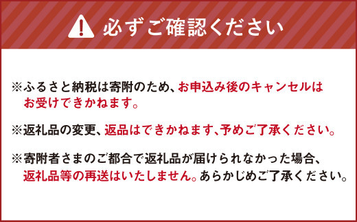 有機JAS認定「きたいろトマト」1.2kg×3箱 （3.6kg）【2026年7月下旬～9月下旬迄発送予定】 トマト とまと 食べ頃 野菜 やさい 有機 北海道