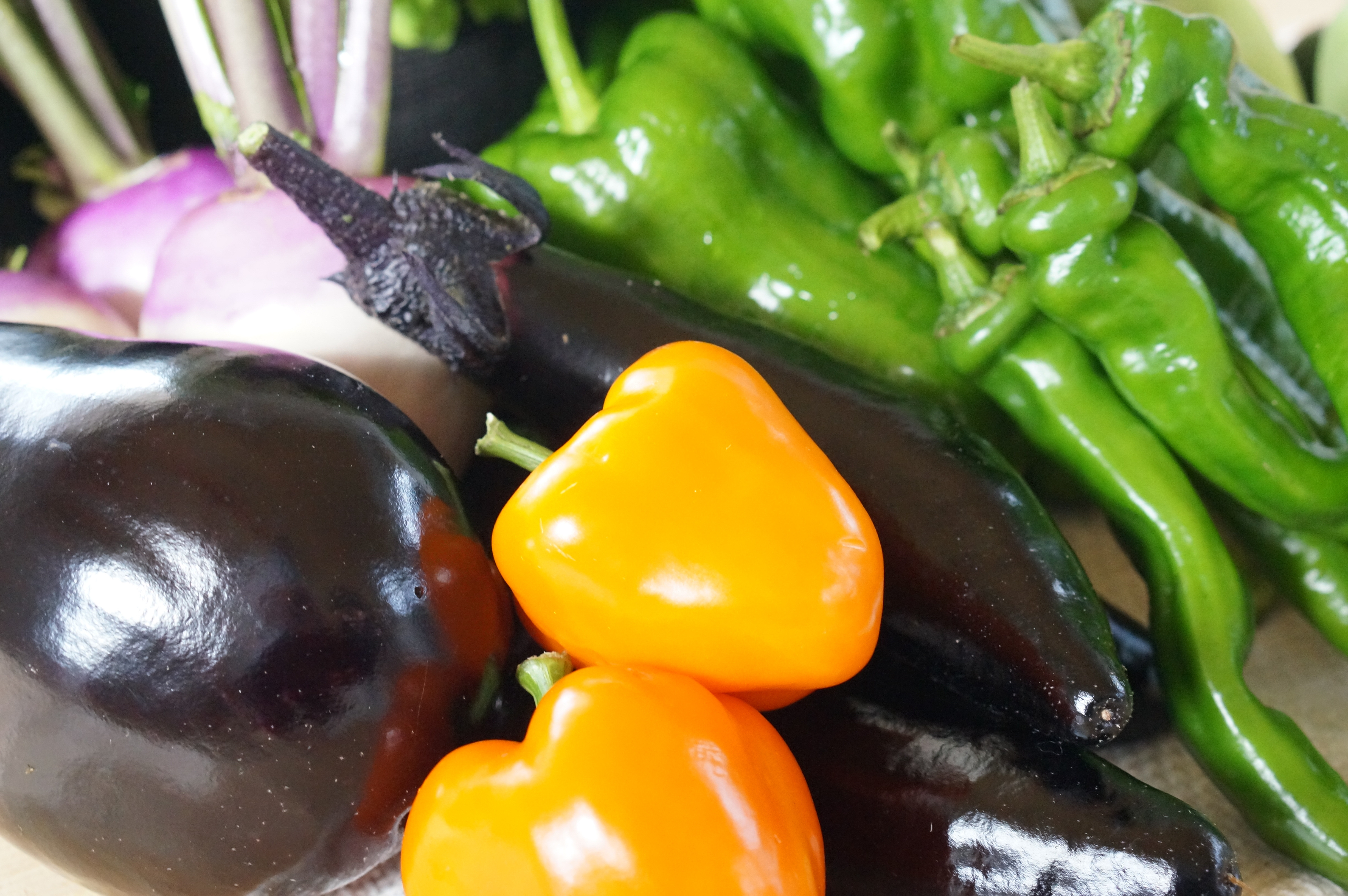 【有機JAS認定】【5ヶ月隔月定期便】 季節の野菜詰め合わせ 〜有機野菜セットA〜 10種類〜12種類 季節 野菜 野菜セット 有機野菜 有機 詰め合わせ セット