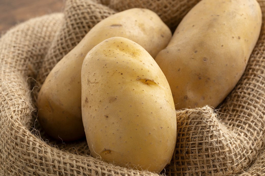 じゃがいも（メークイン） 約10kg 【2025年9月上旬～2026年1月下旬発送】 じゃがいも ジャガイモ メークイン 野菜 北海道 北広島市