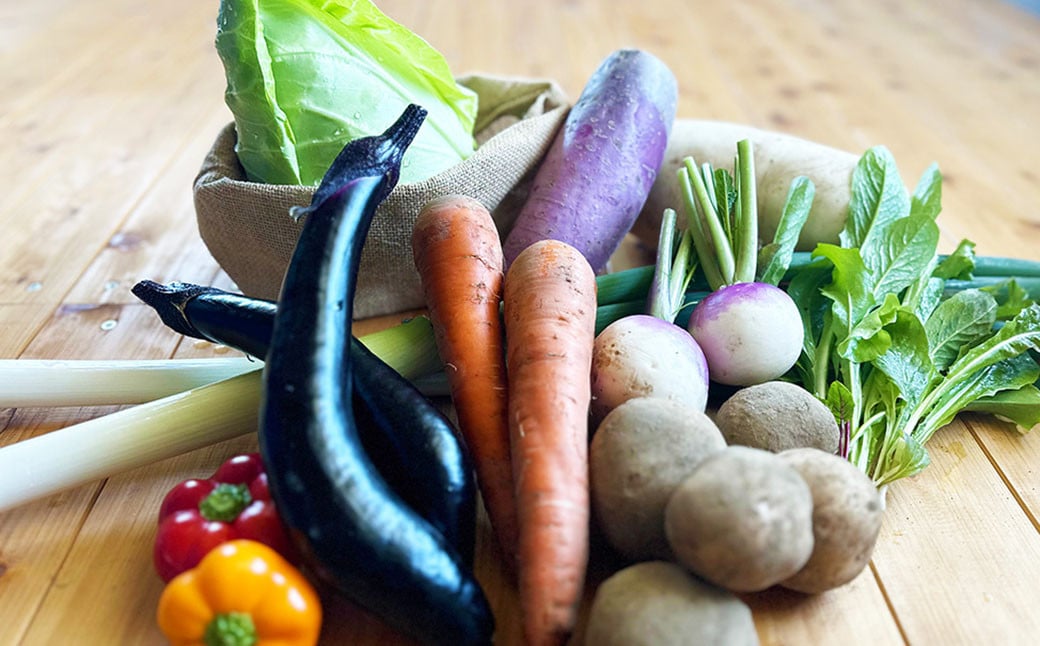 【有機JAS認定】【5ヶ月隔月定期便】季節の野菜詰め合わせ 〜有機野菜セットC〜 7種類〜8種類 季節 野菜 野菜セット 有機野菜 有機 詰め合わせ セット