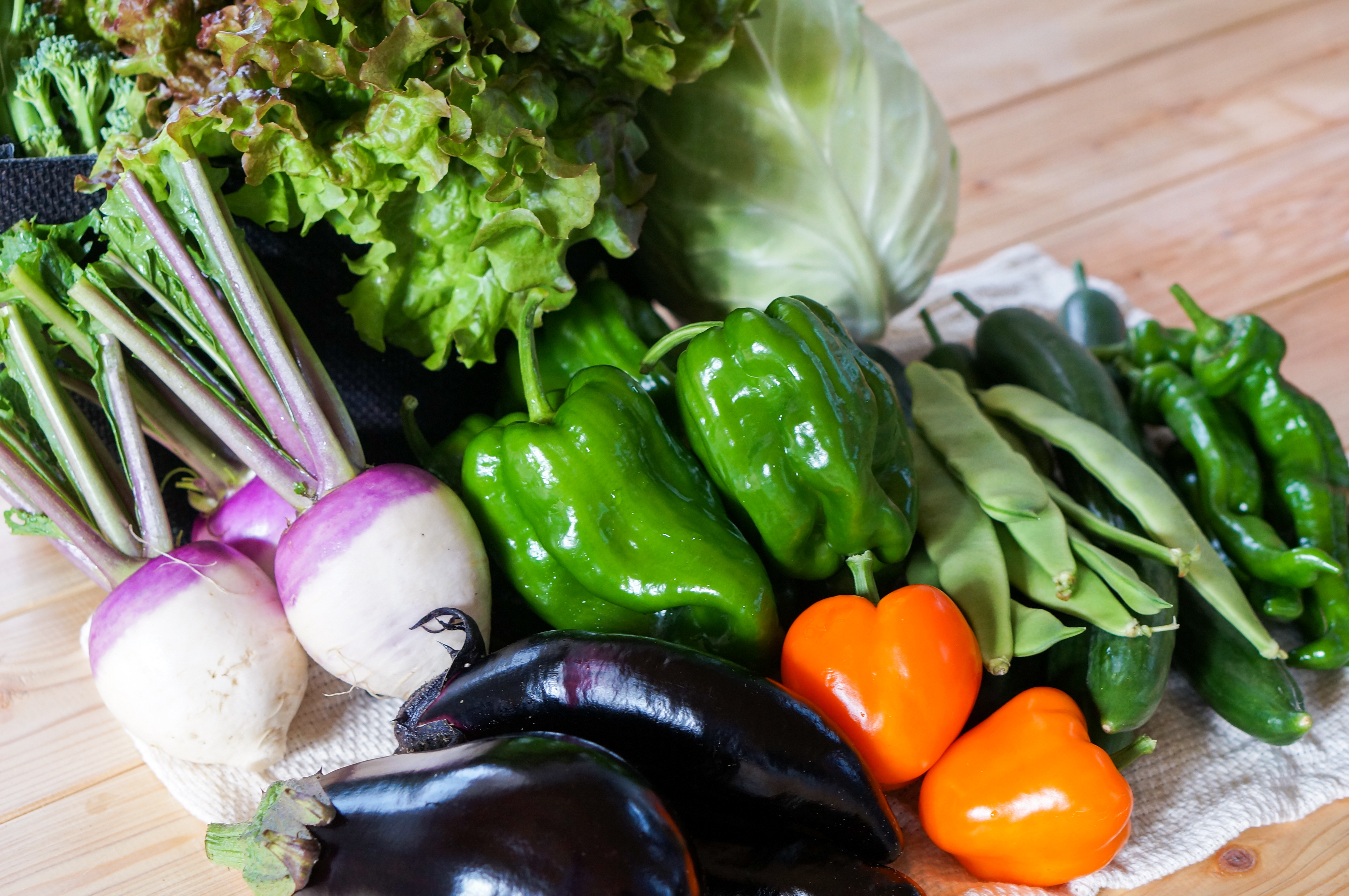 【有機JAS認定】【2ヶ月隔月定期便】 季節の野菜詰め合わせ 〜有機野菜セットA〜 10種類〜12種類 季節 野菜 野菜セット 有機野菜 有機 詰め合わせ セット