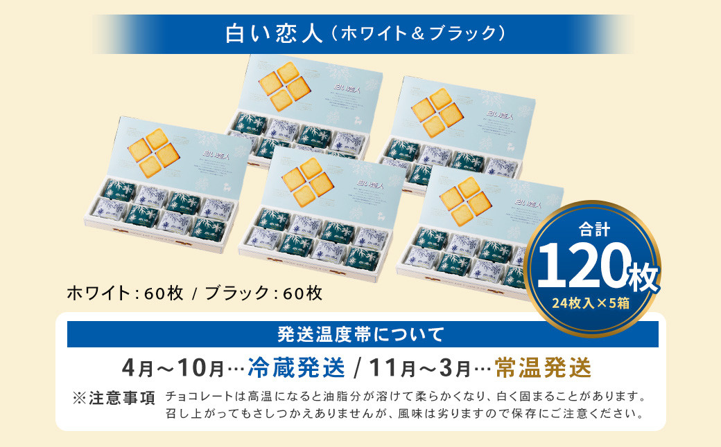 逋ス縺諱倶ココ (繝帙Ρ繧、繝&繝悶Λ繝繧ッ) 120譫(24譫壼・テ5邂ア) 繝ゥ繝ウ繧ー繝峨す繝」 繧ッ繝繧ュ繝シ 繝√Ι繧ウ 縺願藷蟄 縺翫d縺、 蛹玲オキ驕 蛹怜コ蟲カ蟶