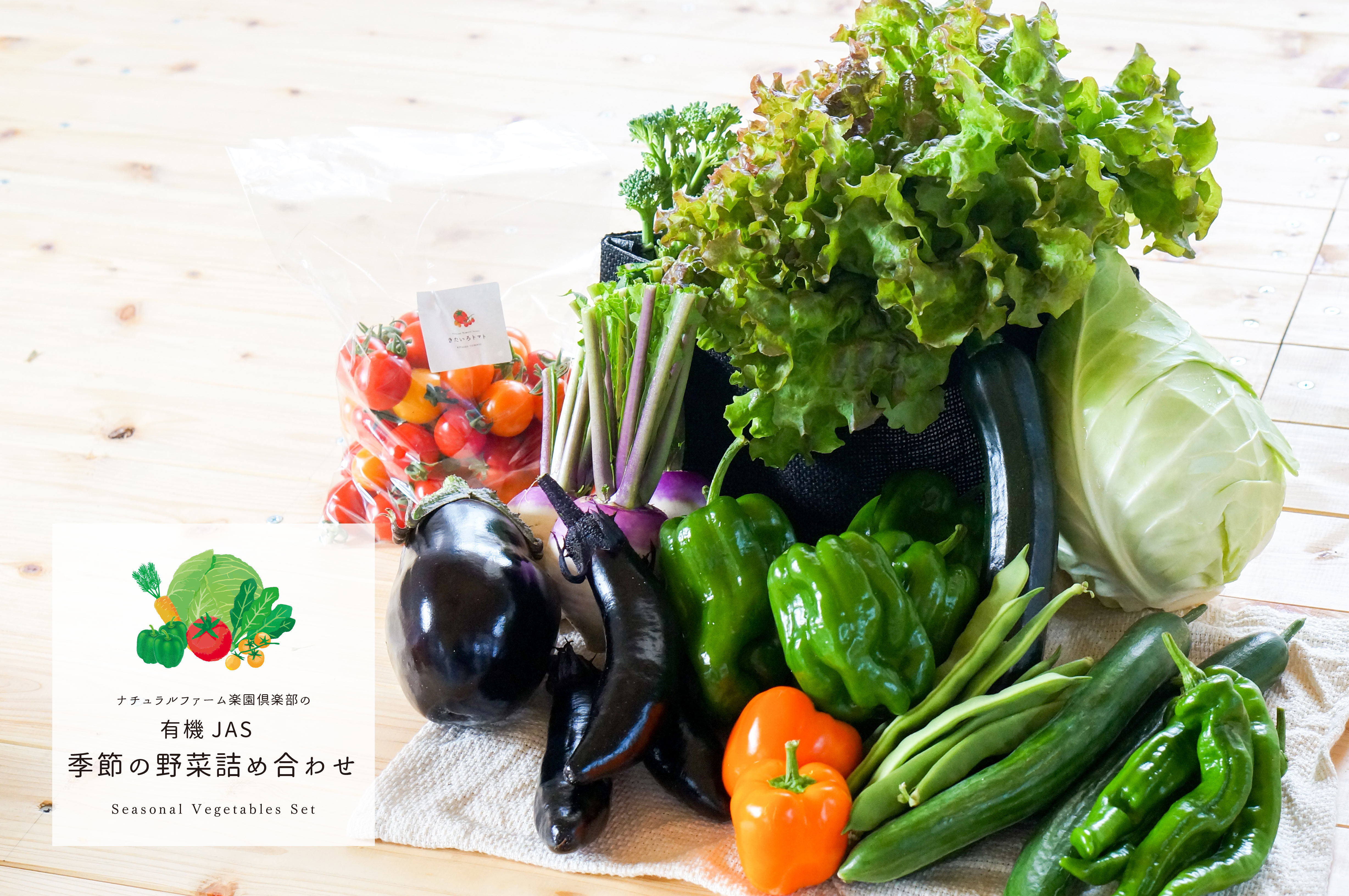 【有機JAS認定】【6ヶ月隔月定期便】 季節の野菜詰め合わせ 〜有機野菜セットA〜 10種類〜12種類 季節 野菜 野菜セット 有機野菜 有機 詰め合わせ セット