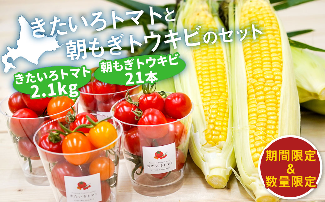 きたいろトマト （2.1kg）と 朝もぎトウキビ （21本）のセット 【2026年8月上旬～9月上旬発送予定】 トマト とうもろこし トウモロコシ 野菜 朝採れ オーガニック