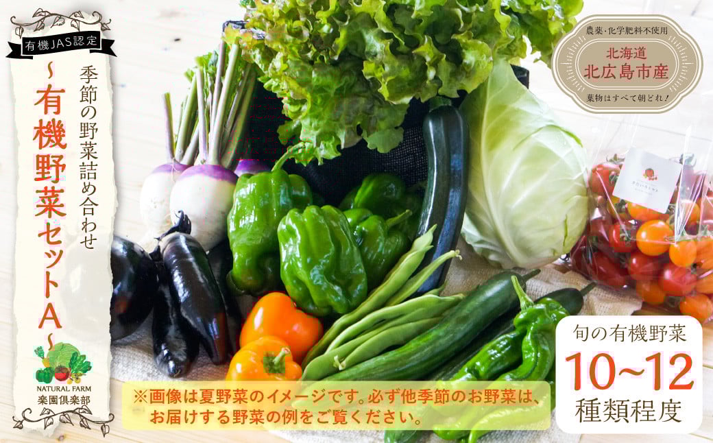 【有機JAS認定】季節の野菜 詰め合わせ 10種類〜12種類程度 有機野菜セットA 北海道北広島市
