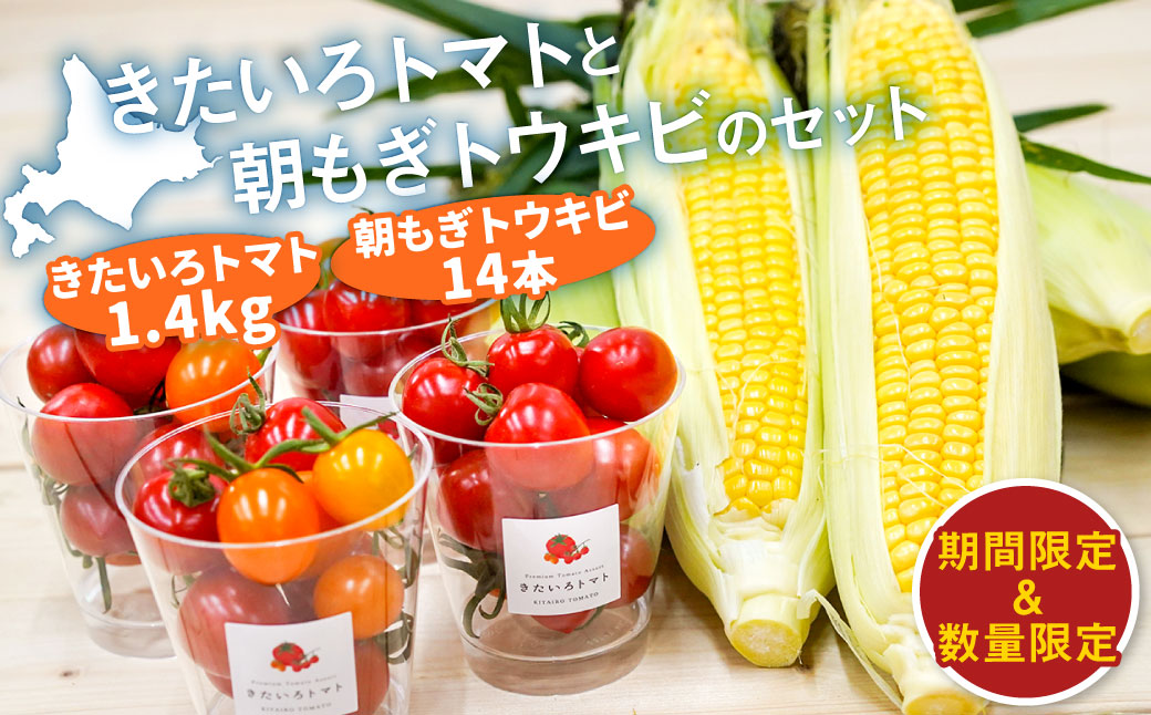 きたいろトマト （1.4kg）と 朝もぎトウキビ （14本）のセット 【2026年8月上旬～9月上旬発送迄予定】 トマト とうもろこし トウモロコシ 野菜 朝採れ オーガニック
