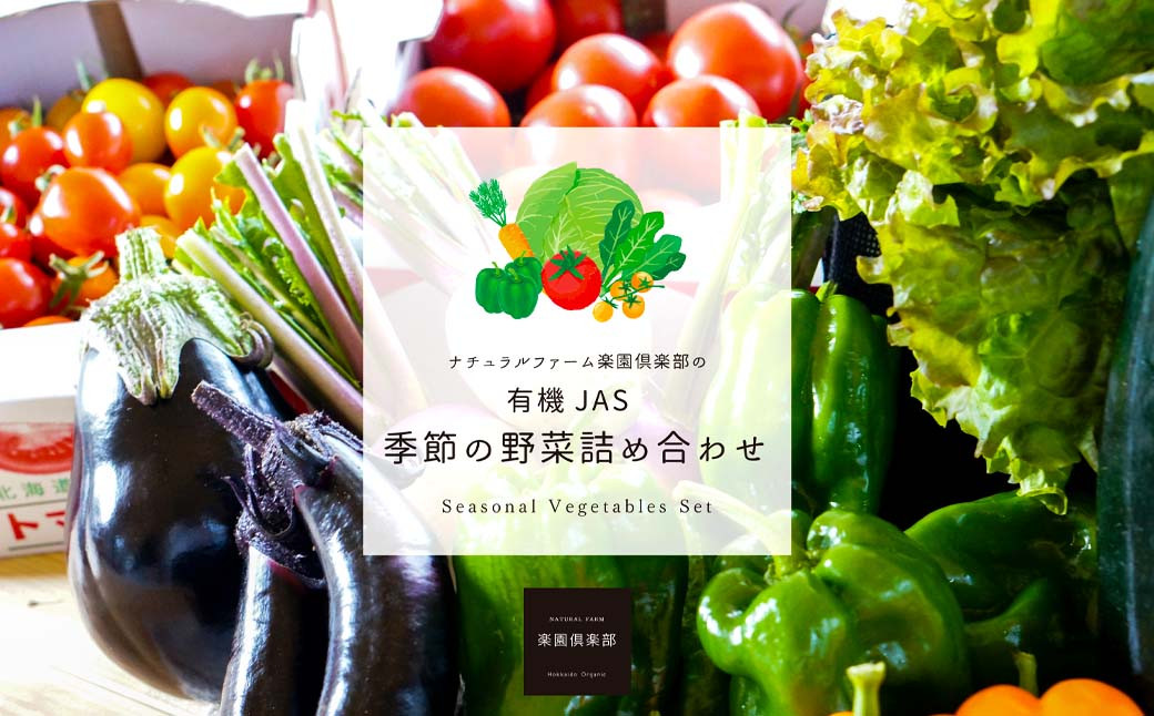 【有機JAS認定】【4ヶ月隔月定期便】 季節の野菜詰め合わせ 〜有機野菜セットB〜 15種類〜18種類 季節 野菜 野菜セット 有機野菜 有機 詰め合わせ セット