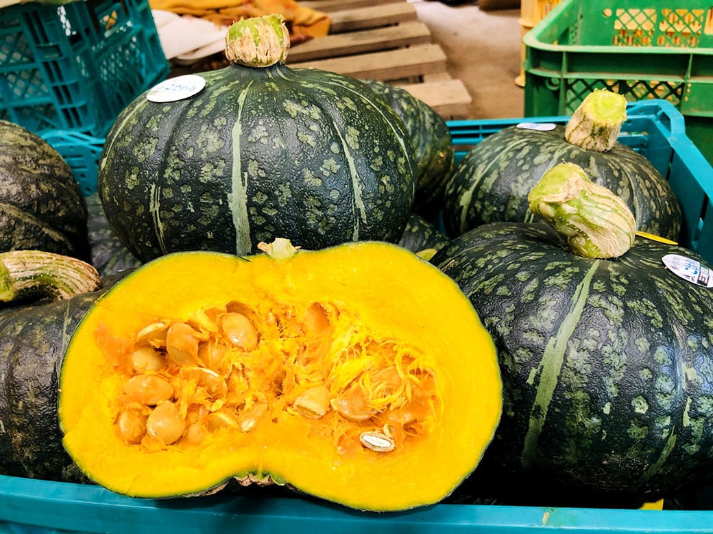 かぼちゃ（みやこ） 4玉 約6kg 【2025年10月上旬～2026年1月下旬発送予定】 かぼちゃ カボチャ みやこ 野菜 北海道 北広島市