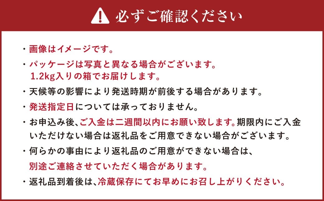 有機JAS認定 「きたいろトマト」 1.2kg×2箱 （2.4kg）【2026年7月下旬～9月下旬迄発送予定】 トマト とまと 食べ頃 野菜 やさい 有機 北海道