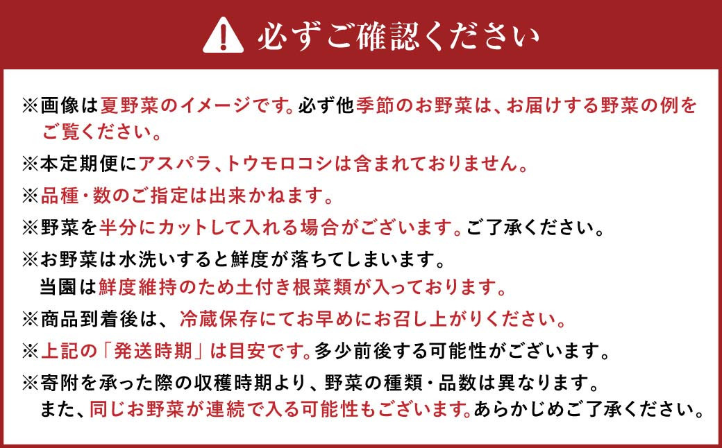 【有機JAS認定】【5ヶ月定期便】 季節の野菜詰め合わせ 〜有機野菜セットB〜