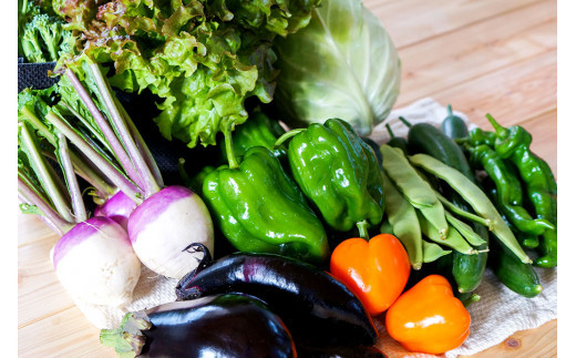 ãææ©JASèªå®ãã10ã¶æå®æäŸ¿ã å£ç¯ã®éèè©°ãåãã ãææ©éèã»ããBã