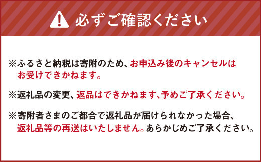 【簡易包装】ベーコン節 10本入〈200g〉 ベーコン ハム 熟成 スモーク パスタ リゾット サラダ 【2026年5月上旬より順次発送開始】