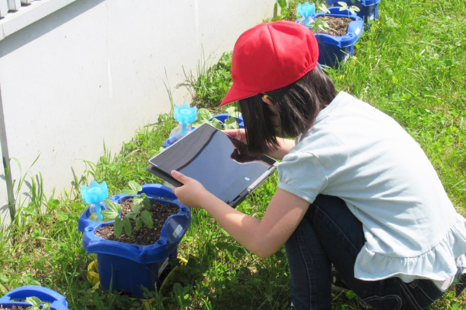 小中学校の教育振興
