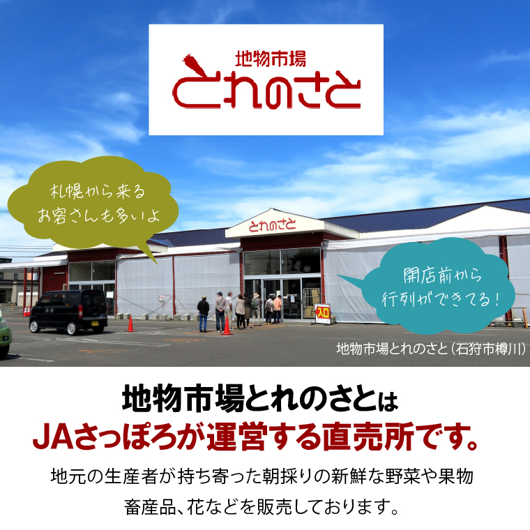 140055002 令和6年産 新米 地物市場とれのさと ななつぼし 10kg