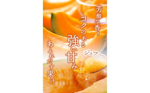 130079【先行予約受付中】北海道石狩産 赤果肉メロン(2玉)(1玉1.3kg以上) 計2.6kg以上