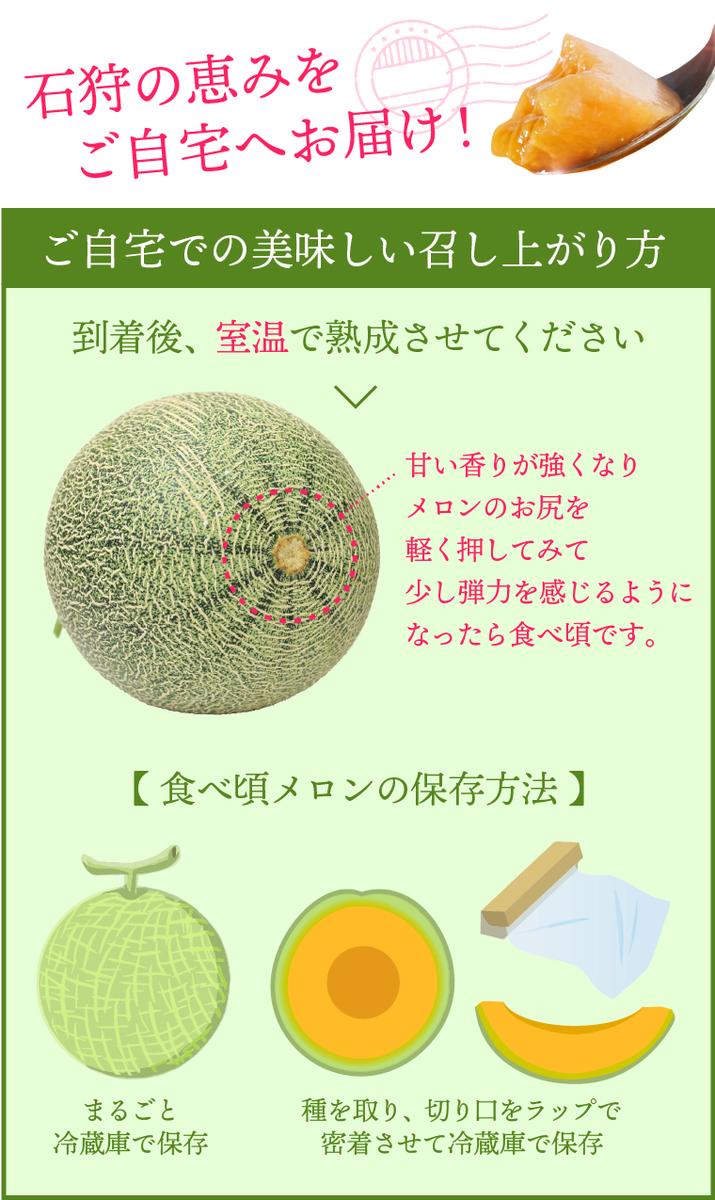 130079【先行予約受付中】北海道石狩産 赤果肉メロン(2玉)(1玉1.3kg以上) 計2.6kg以上