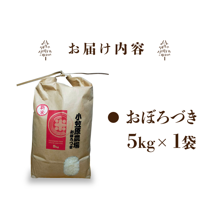 300007 【令和5年度産】北海道 厚田産米 小笠原農場 おぼろづき 5kg