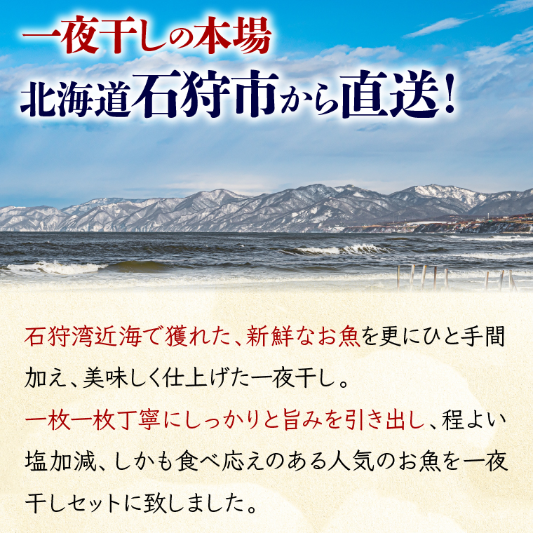 750031001 旨塩 いしかり一夜干しセット 12枚入（宗八カレイ・ナメタカレイ・ホッケ・にしんの4種）