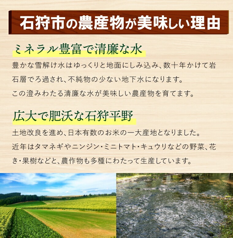 130084 【先行予約受付中】石狩産 とれたて野菜の詰合せ（なす、きゅうり、ピーマン、ゴーヤ、ミニトマト、とうもろこし）