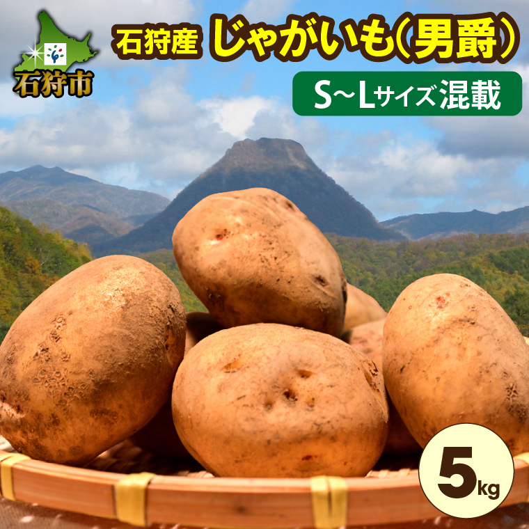 130087001 【2024年度産：8月下旬～発送】北海道 石狩産じゃがいも・5kg（男爵）S～Lサイズ混載