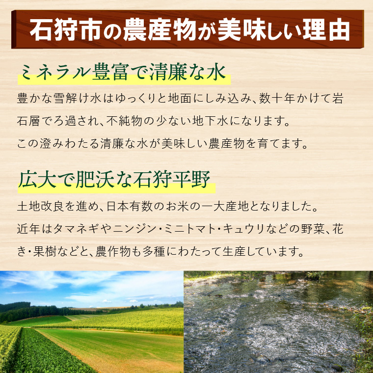 130087001 【2024年度産：8月下旬～発送】北海道 石狩産じゃがいも・5kg（男爵）S～Lサイズ混載