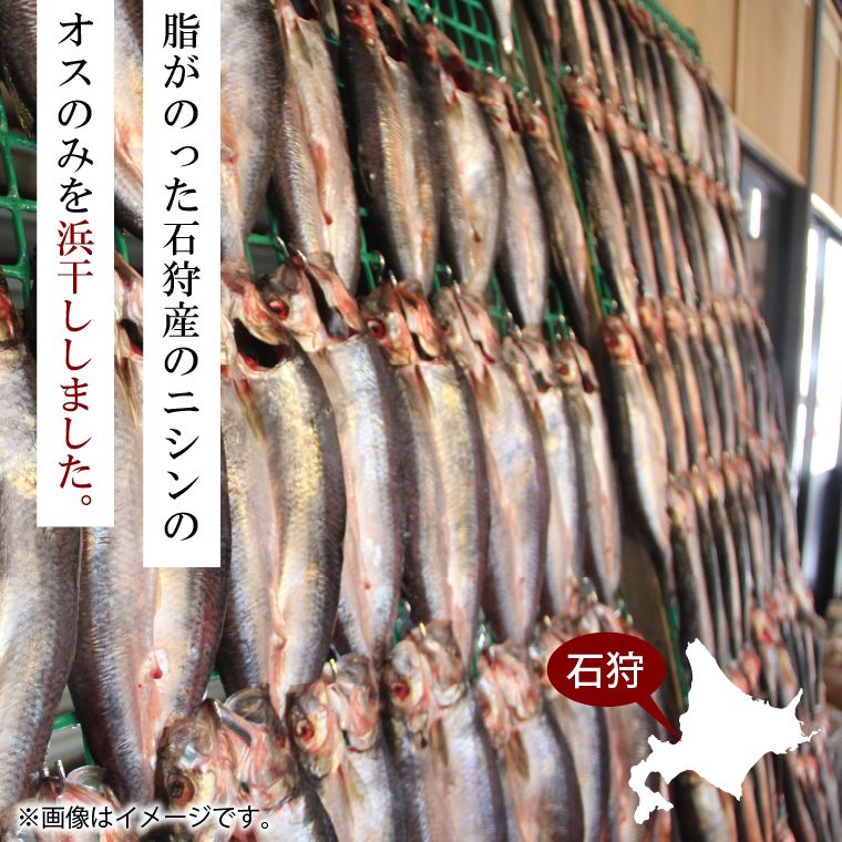 160028002 北海道産 浜干しニシン開き（4枚）約1.2kg