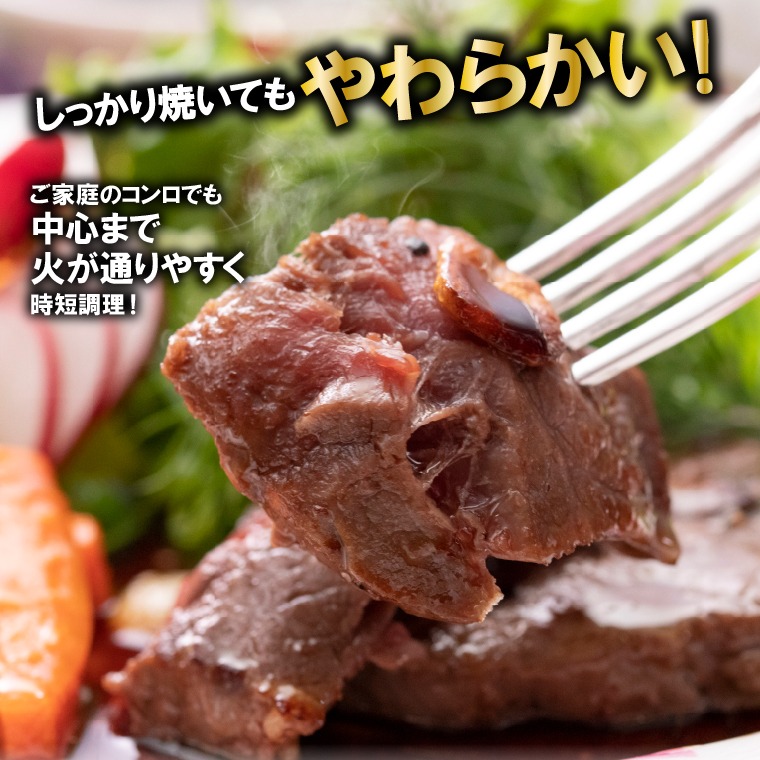 120043 牛ヒレステーキ 450g（約5枚～12枚前後）【牛脂注入加工肉】