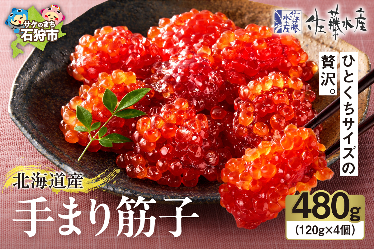 佐藤水産 手まり筋子 480g (120g×4)