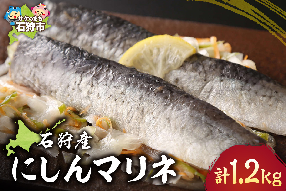 石狩産にしんマリネ｜にしん 鰊 北海道 石狩市