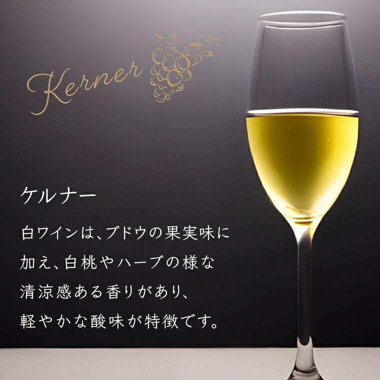 ローストビーフとワインの贅沢ペアリングセット ｜ホクビー 牛肉 惣菜 赤ワイン 白ワイン 北海道 石狩市