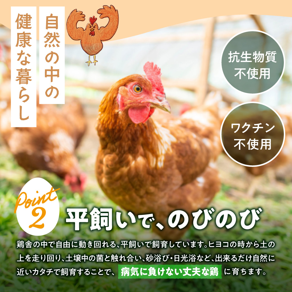 鬟帙カ魑・霎イ蝣エ縲豬キ縺ョ陦励◆縺セ縺斐40蛟