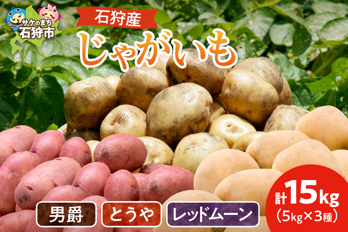石狩産 じゃがいも3種セット(男爵・とうや・レッドムーン) 15kg[9月発送]| 北海道産 野菜 詰合せ 北海道 石狩市
