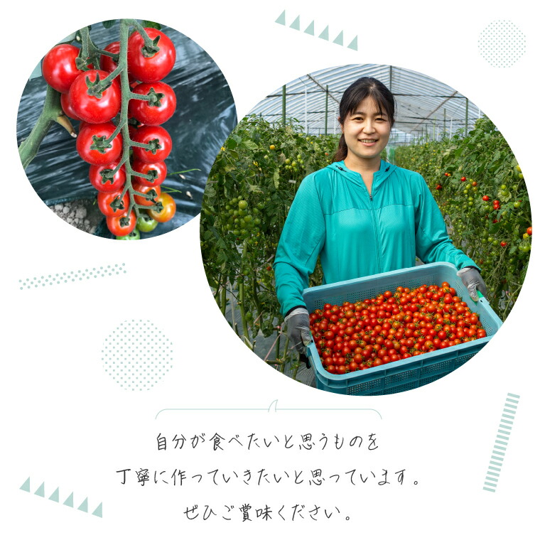 トマト農家が作ったトマトのジェラート「GELATOMA」6個 | とまと 野菜 フルーツ アイス 北海道 石狩市