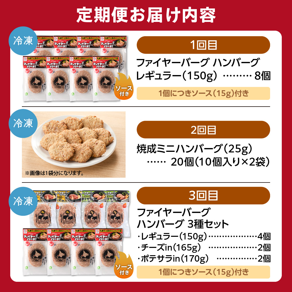 【定期便3回】ファイヤーバーグお試し定期便 ｜ 専門店 惣菜 北海道 石狩市