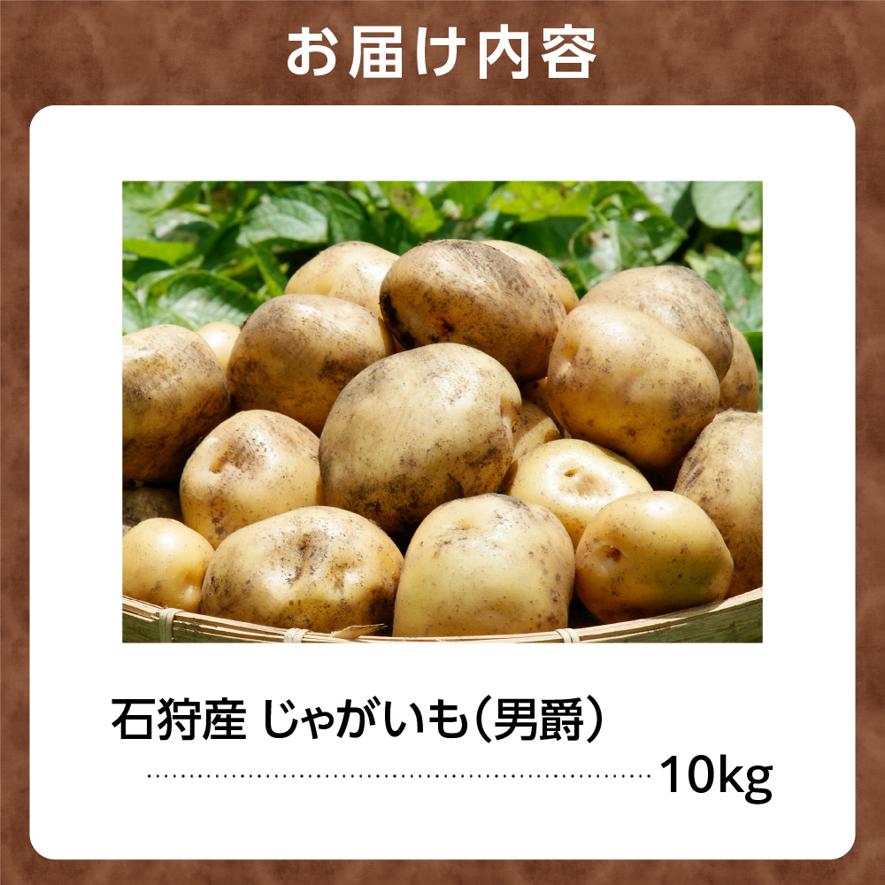 石狩産 じゃがいも（男爵） 10kg【9月発送】｜ 北海道産 野菜 じゃがいも 北海道 石狩市