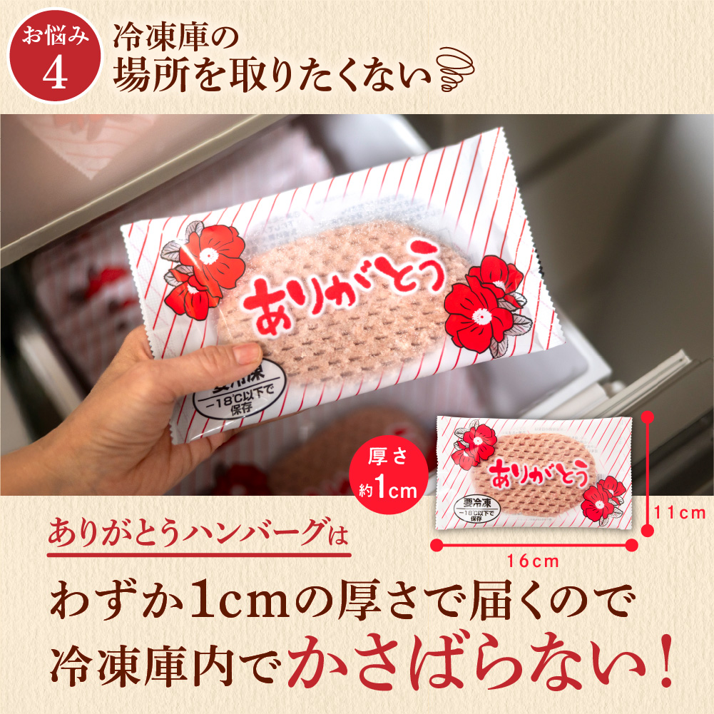 北海道産ありがとうハンバーグセット（ありがとうハンバーグ90g×12・チーズ90ｇ×6）