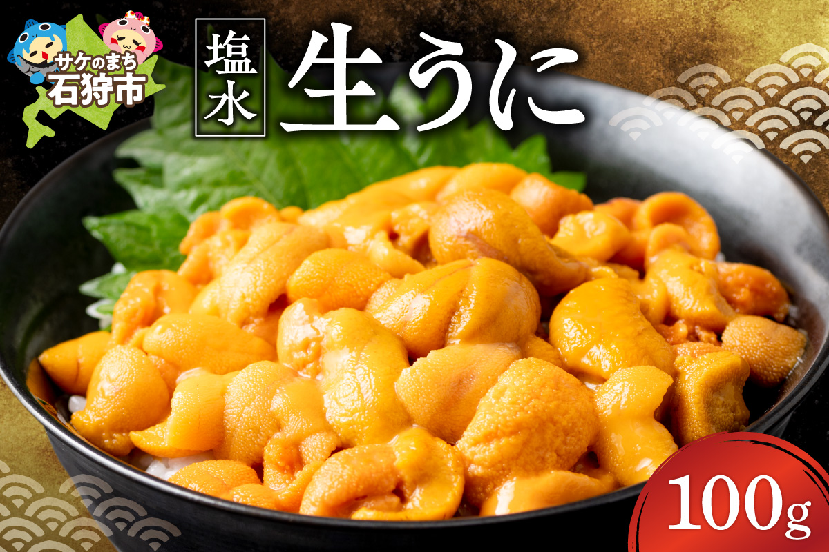【目利きの達人セレクト】塩水 生うに 100g（ロシア産）｜ ウニ 雲丹 無添加 魚介 海鮮 北海道 石狩市