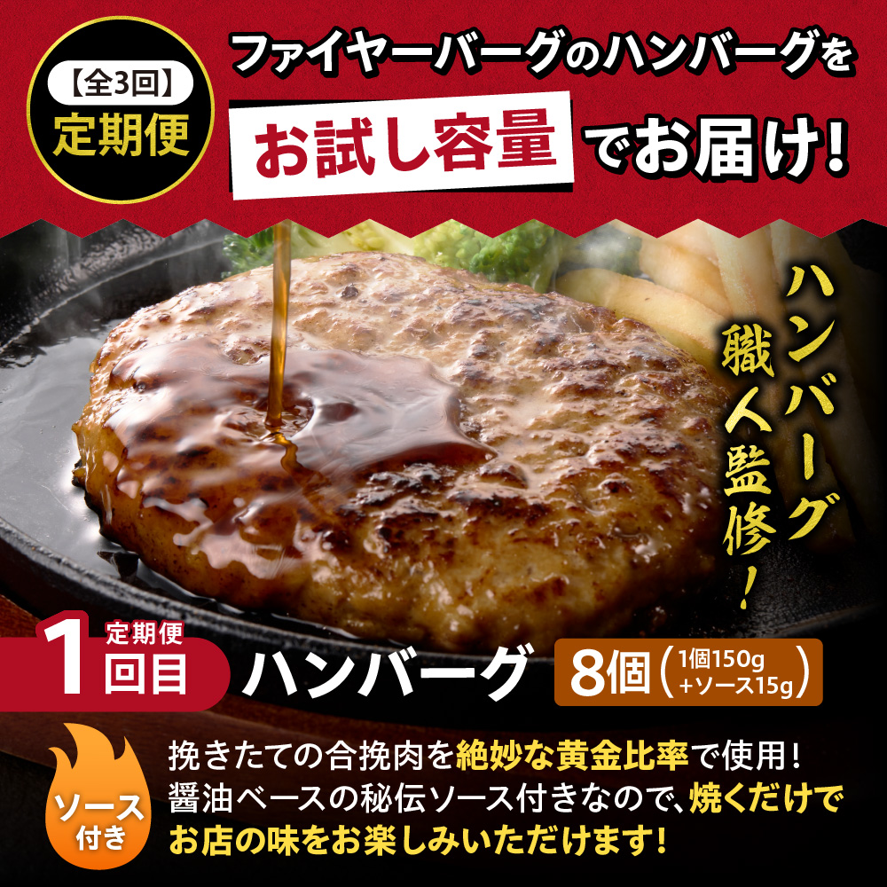 【定期便3回】ファイヤーバーグお試し定期便 ｜ 専門店 惣菜 北海道 石狩市