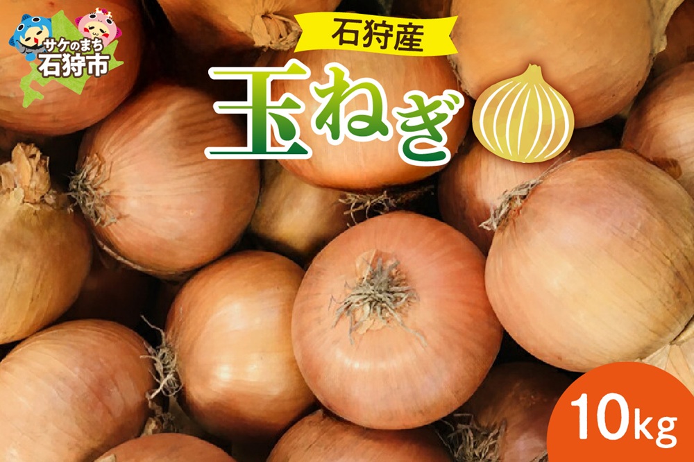 石狩産 玉ねぎ10kg[9月〜11月発送]| 北海道産 たまねぎ 野菜 北海道 石狩市