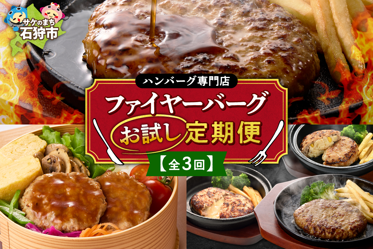 【定期便3回】ファイヤーバーグお試し定期便 ｜ 専門店 惣菜 北海道 石狩市