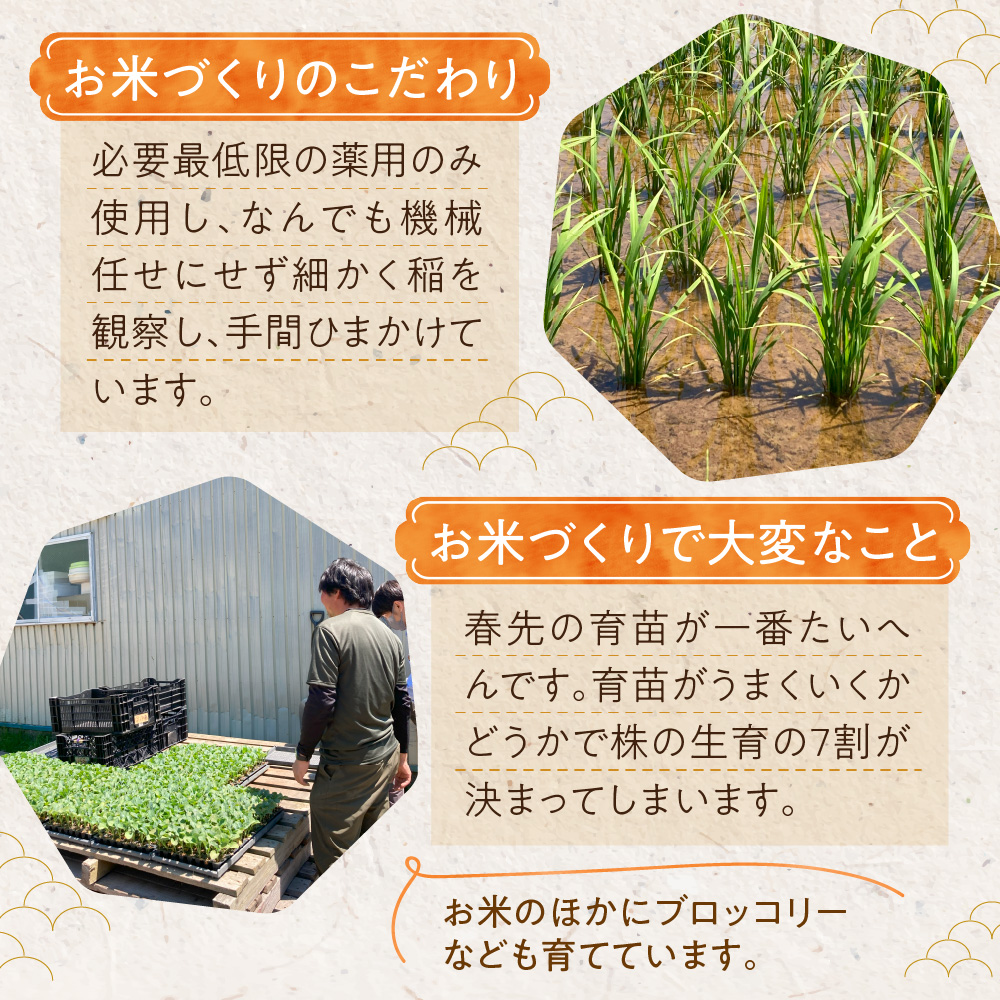 地物市場とれのさと ななつぼし無洗米 15kg