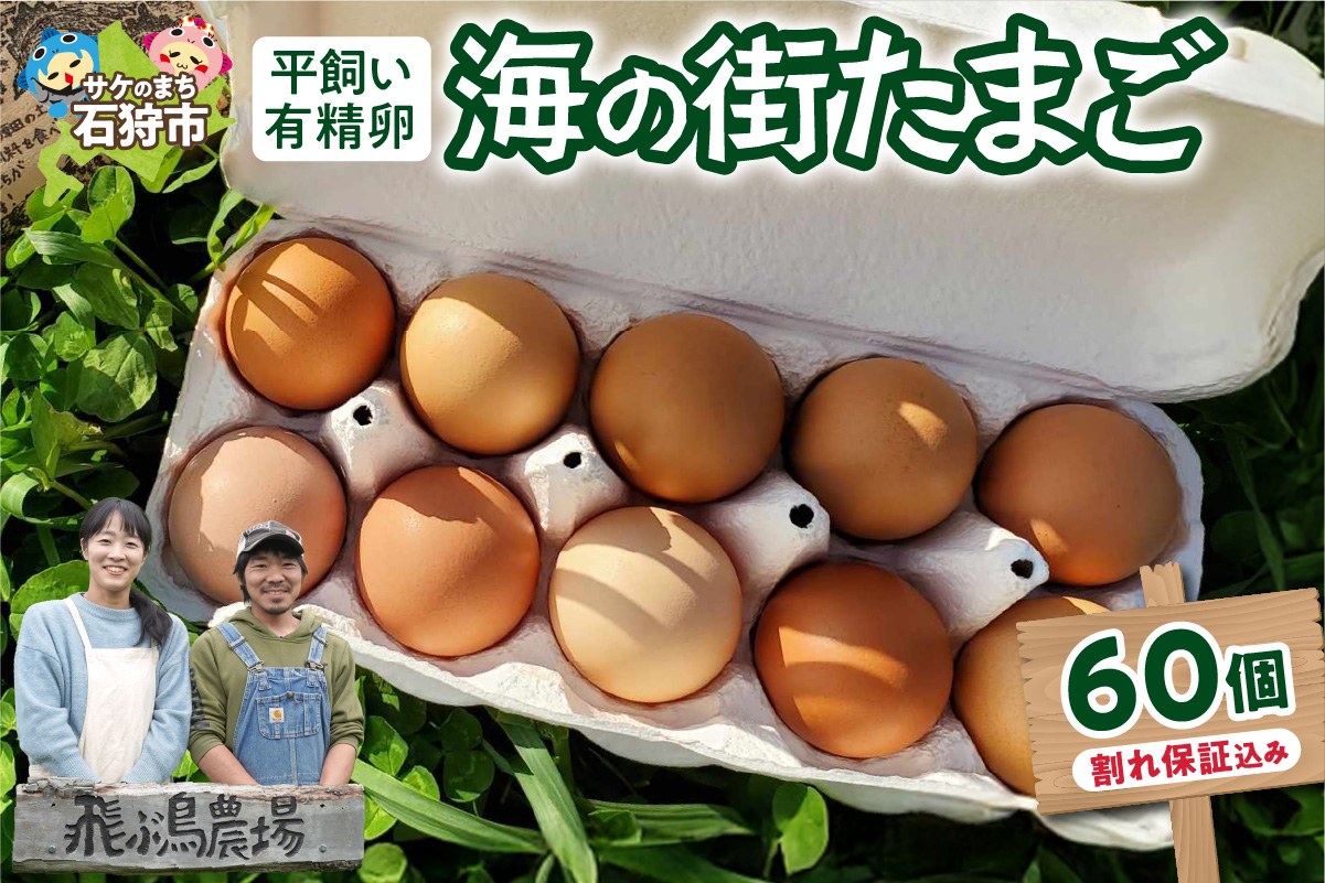 飛ぶ鳥農場　海の街たまご　60個