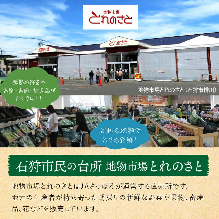 石狩産スイートコーン（色：イエロー） 10本【8月～9月発送】｜ 北海道産 とうもろこし 野菜 北海道 石狩市